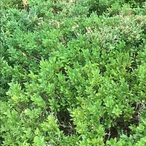 Meet your Posher, Eloisa